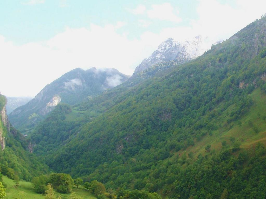 Chateau D'Arance Hotell Cette-Eygun Exteriör bild